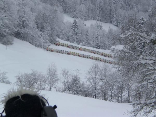 Scheibenstand  Scheibenstand